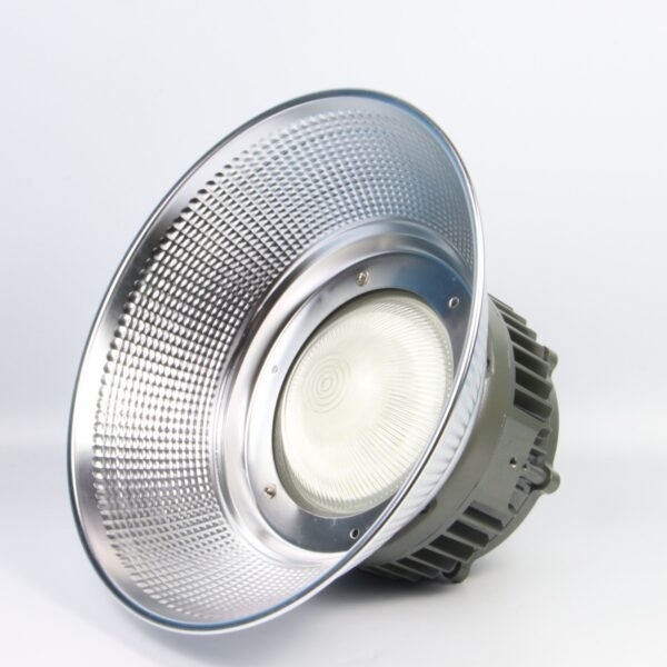Explosion Proof Light ENE8231 - Image 3