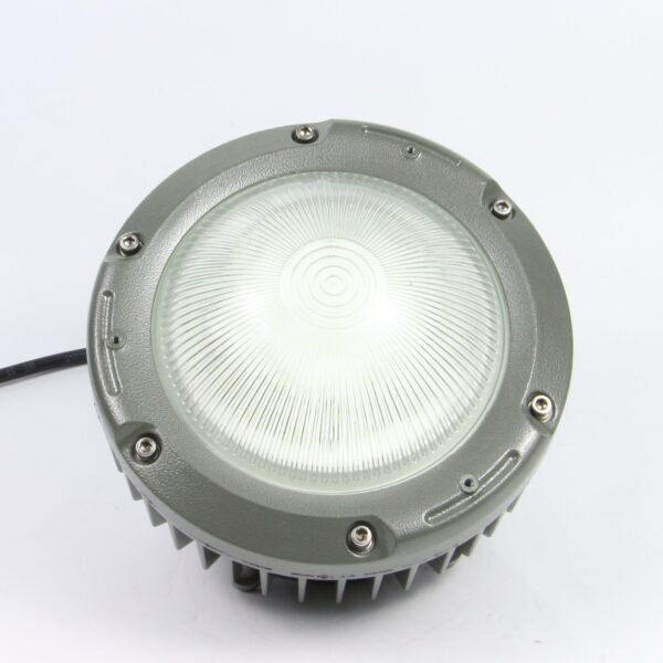 Explosion Proof Light ENE8231 - Image 4