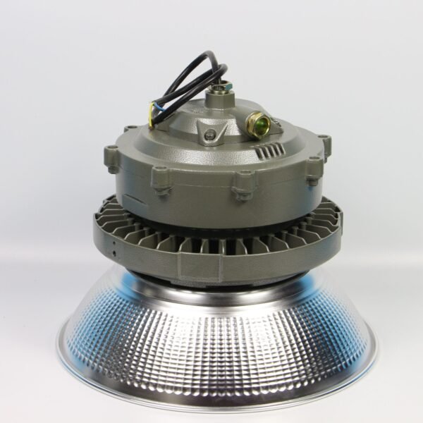Explosion Proof Light ENE8232 - Image 3