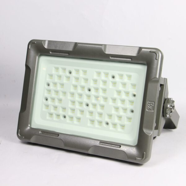 Explosion Proof Light ENE8260 - Image 6