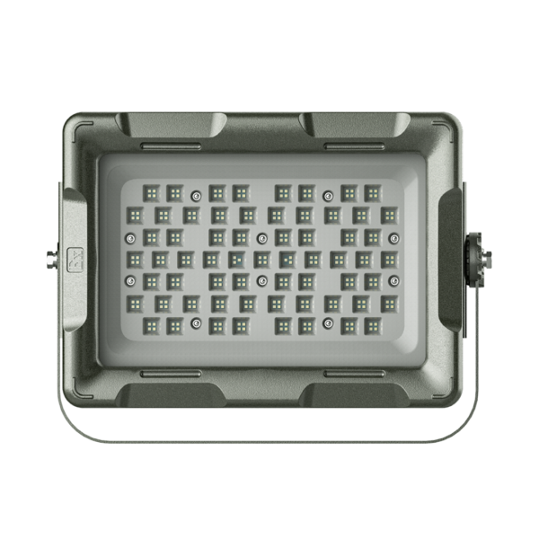 Explosion Proof Light ENE8260 - Image 2